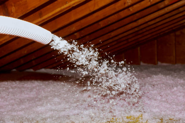 Best Insulation Installation Services in Colfax, WI