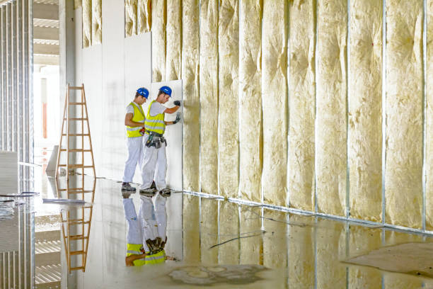 Best Types of Insulation in Colfax, WI